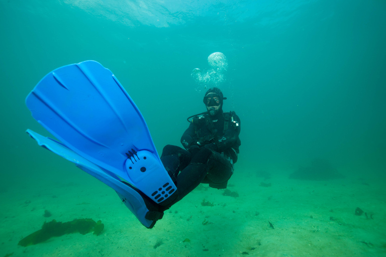 Cape Town: Discover Scuba Diving - 1 day experience