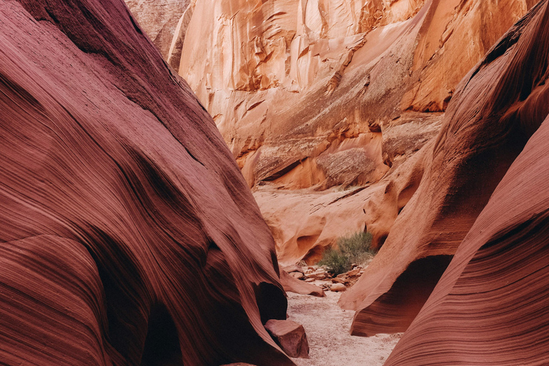 Vanuit Phoenix: Dagtocht naar Antelope Canyon en Horseshoe Bend