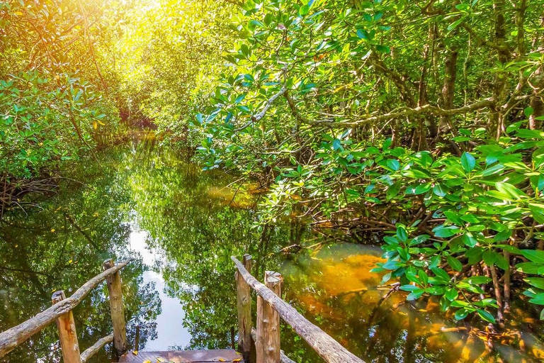 Zanzíbar: Bosque de Jozani con visita a las Mariposas