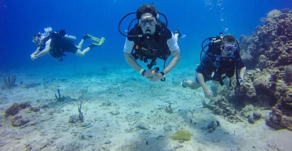 Punta Cana: Scuba Diving Adventure to Catalina Island