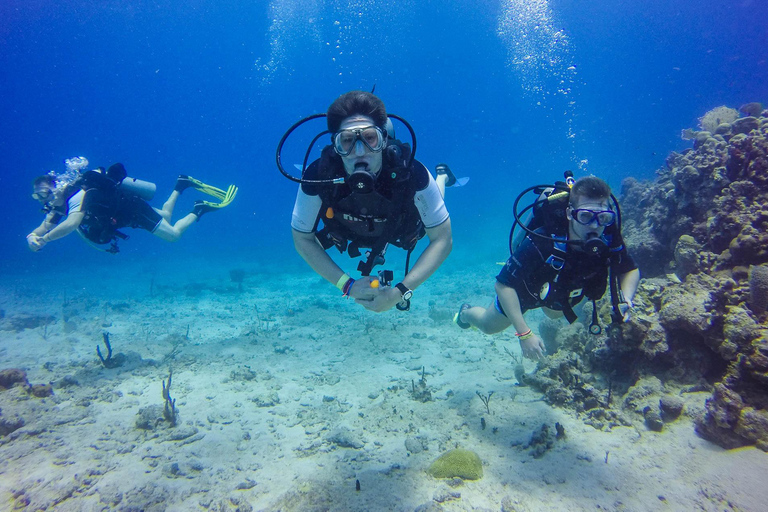 Catalina Scuba Diving Adventure The Wall &amp; The Aquarium