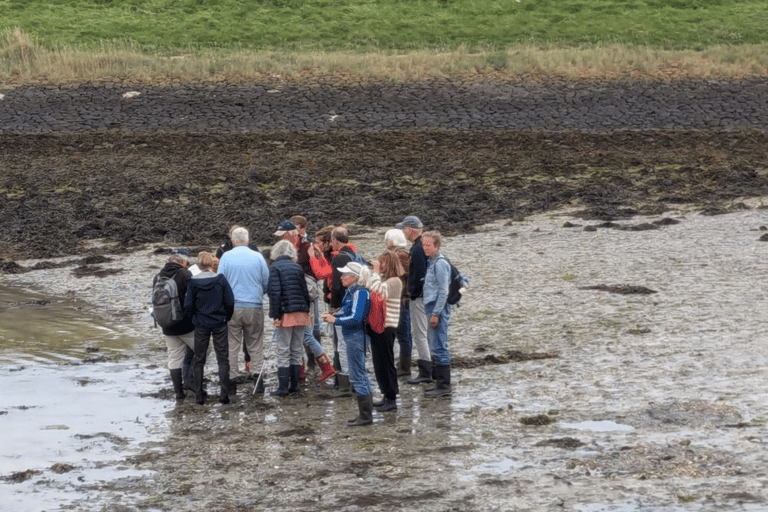 Oosterschelde: Guided Tour in Search of Salty Shellfish