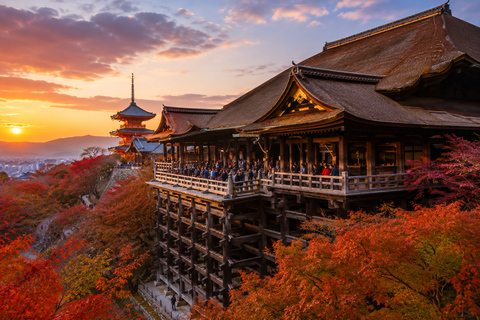 Kyoto: Kyoto Private & Customizable Tour with English Guide