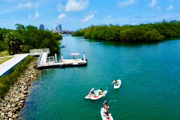 Miami: Noleggio di tavole da paddle o kayak a Virginia KeyMiami: Noleggio di kayak in tandem a Virginia Key