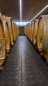 Suitetrails - Barolo Langhe Wine Tour