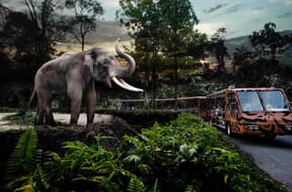 Singapur: Nacht-Safari mit Hoteltransfer & Abendessen