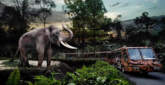 Singapore: Night Safari with Hotel Transfer & Dinner