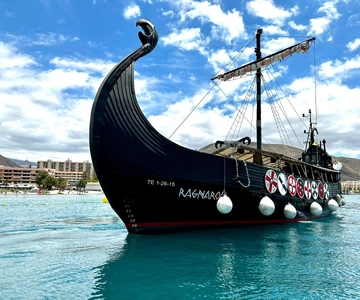 Los Cristianos: Whale Watching Cruise w/Swim Stop & Drinks