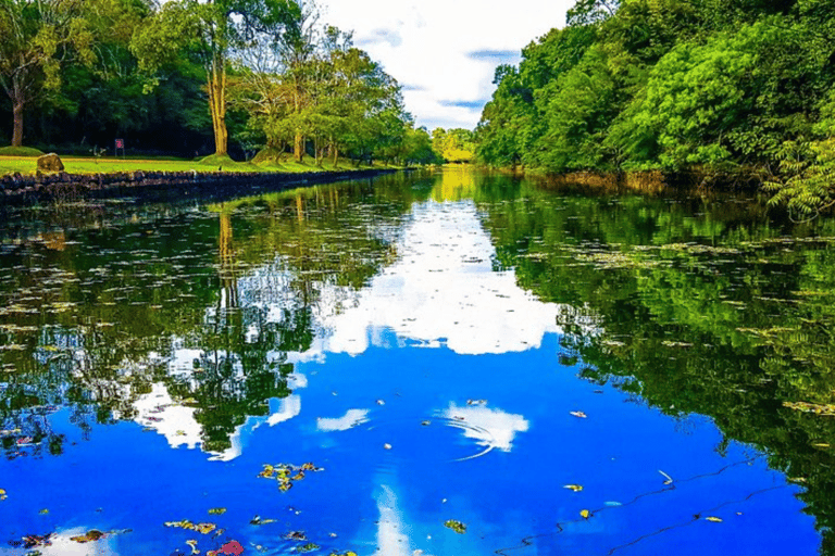 Dambulla: Sigiriya, Polonnaruwa, and Cave Temple Day Trip