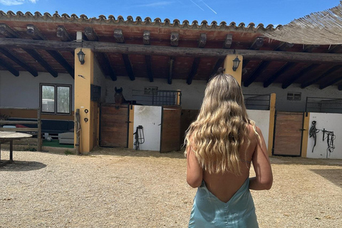 Norway-Gålå: Horseback Riding Tour with Refreshments