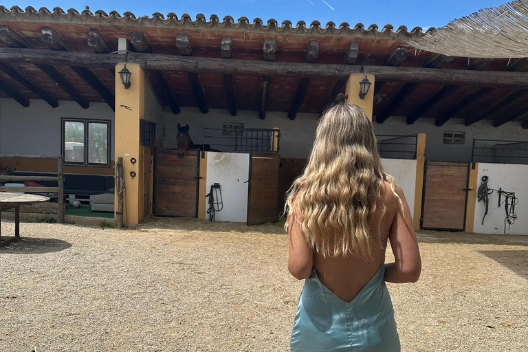 Norway-Gålå: Horseback Riding Tour with Refreshments