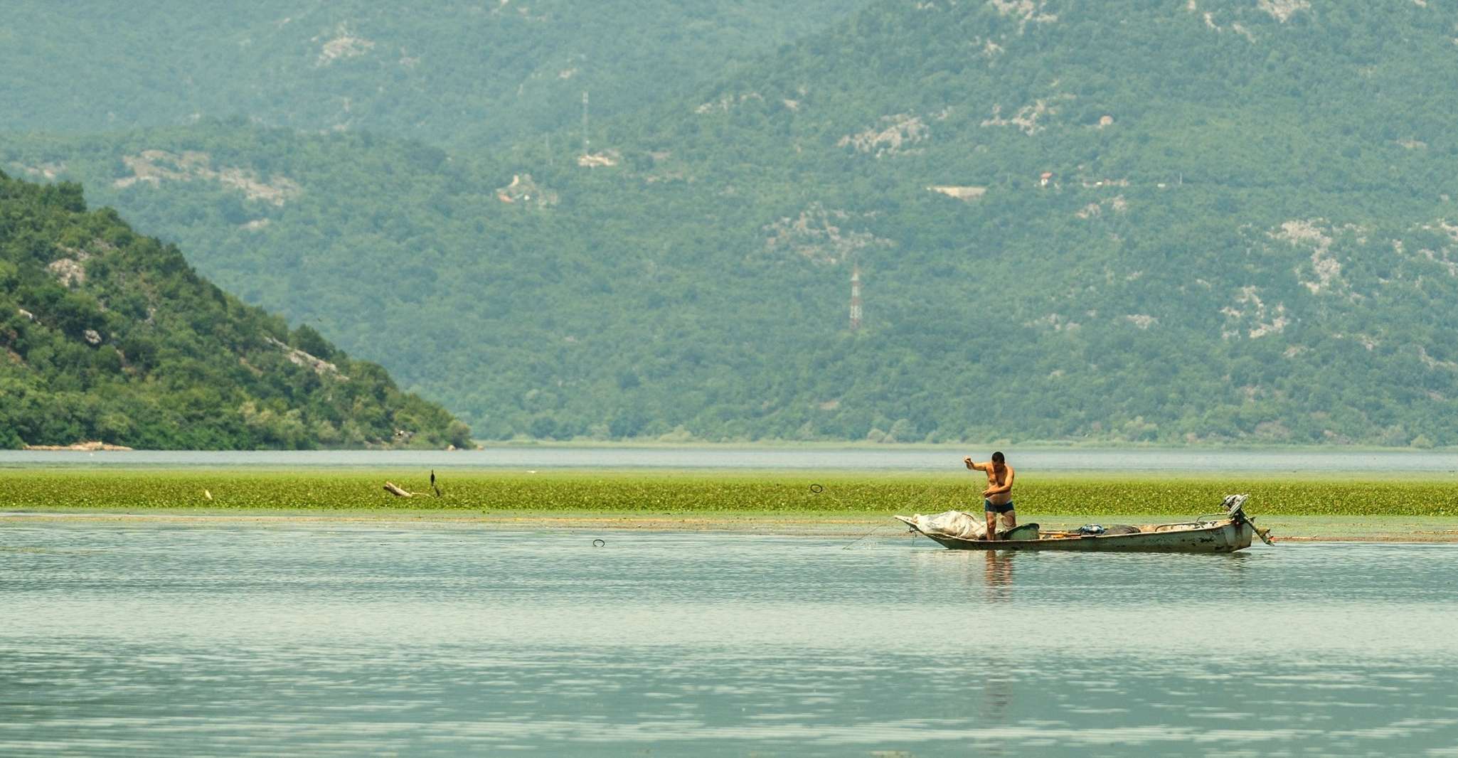 Wildlife, Wine, and Sunset Magic at Lake Skadar - Housity