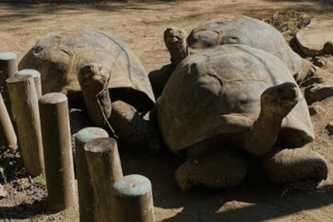 Quito: Zoo Tour with Transportation and Admission or Ticket