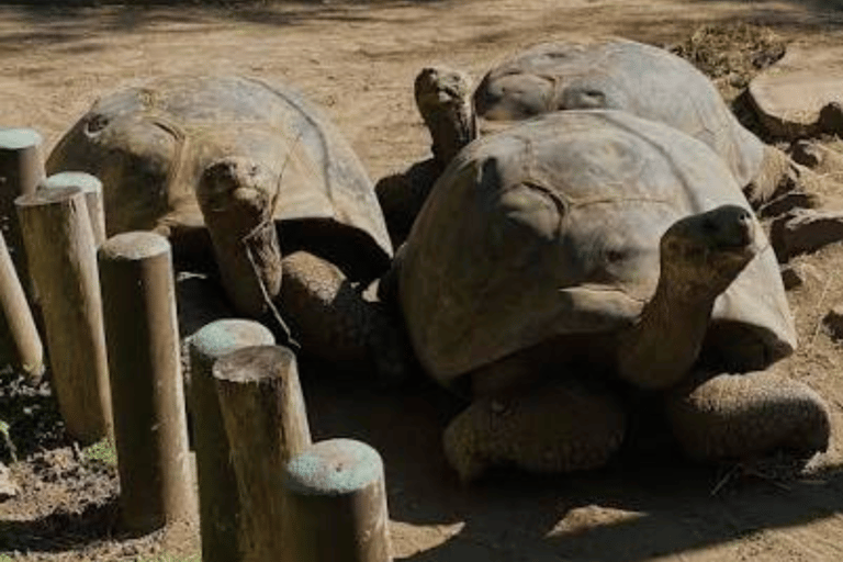 Quito: Zoo Tour with Transportation and Admission or Ticket
