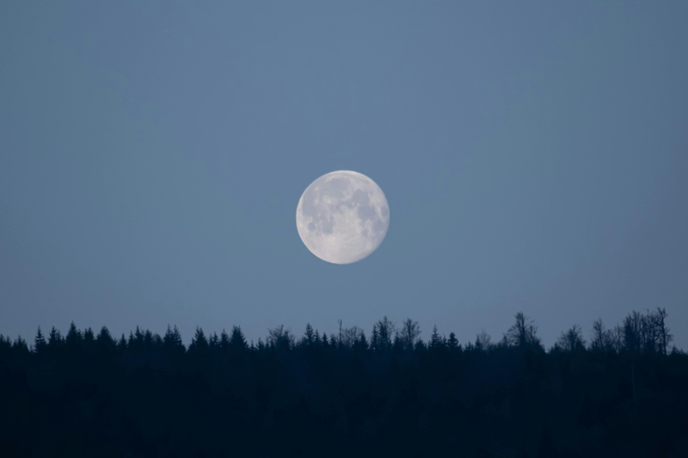 Barbados: Nighttime Full Moon Horseback Riding Tour