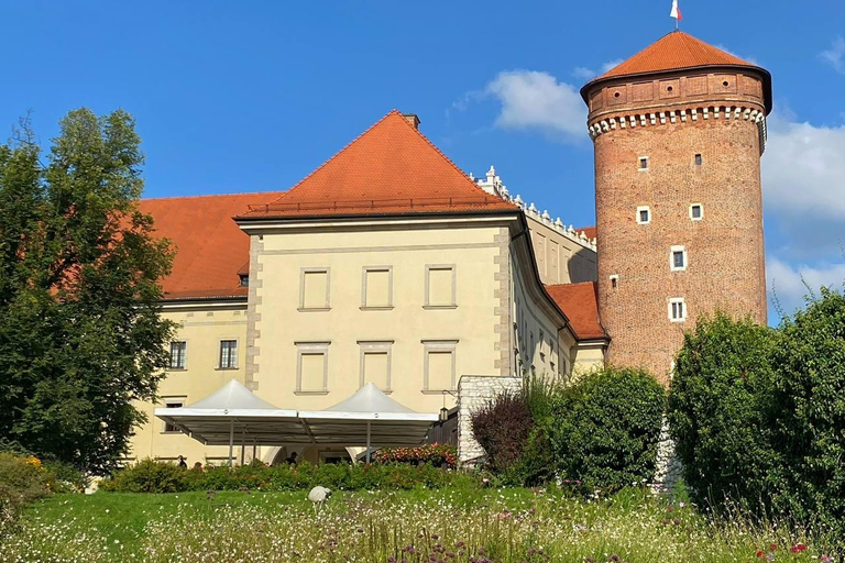 Krakow: Wawel Castle & Cathedral Guided Tour with Tickets