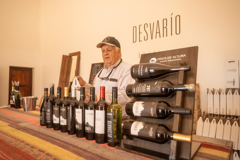 Cafayate: Tour de dia completo por bodegas y degustacion de vinos