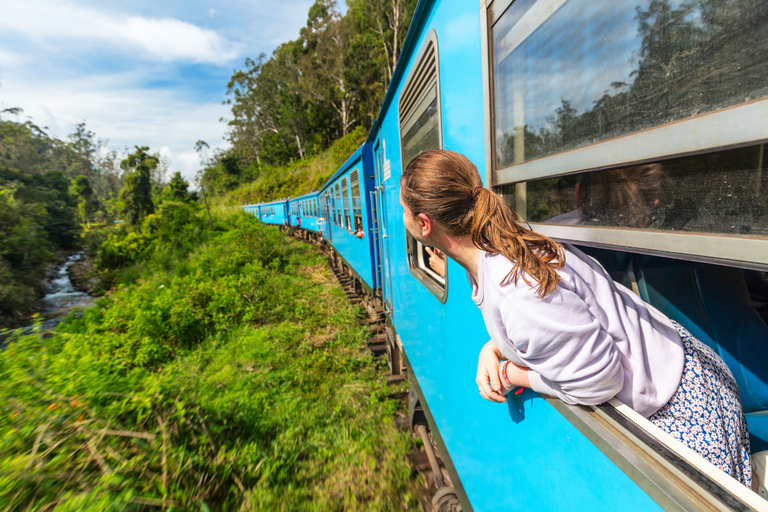 3-Day Private Tour: Sigiriya, Dambulla, Ella With Train Tour