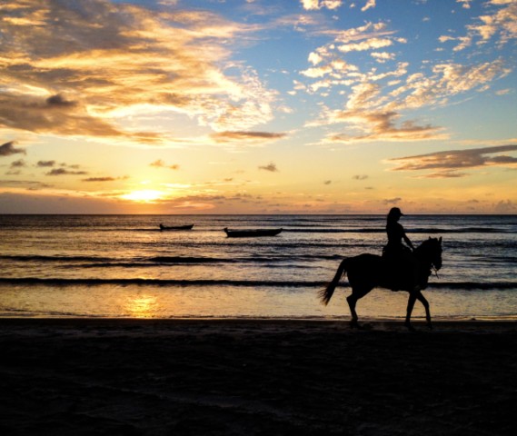Visit Cartagena Beach Horseback Riding Tour at Sunset in Cartagena