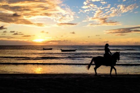 Cartagena: Excursión a caballo por la playa al atardecer