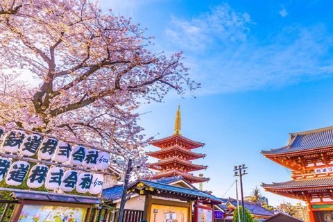 Tokyo: Private 1-Day Tour with English-Driver, Customizable