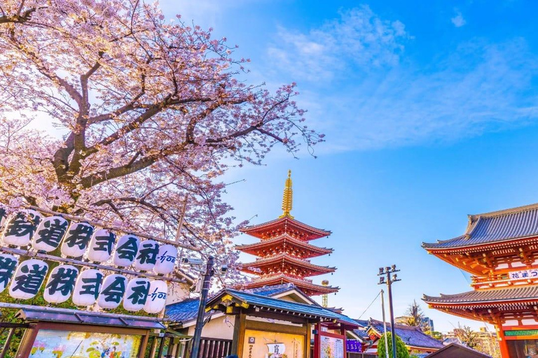 Tokyo: Private 1-Day Tour with English-Driver, Customizable
