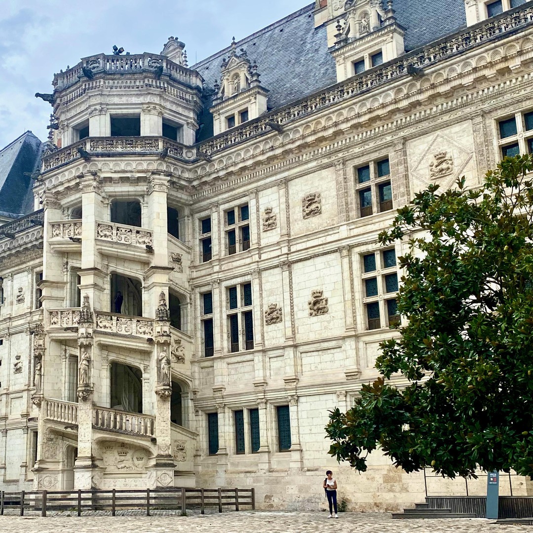 Galerie média