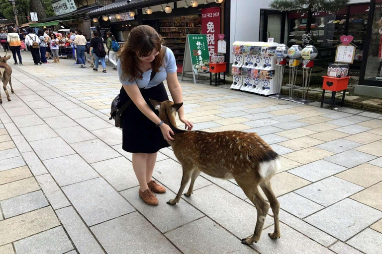 Kyoto & Nara: Exclusive Full-Day Private Tour with Pickup