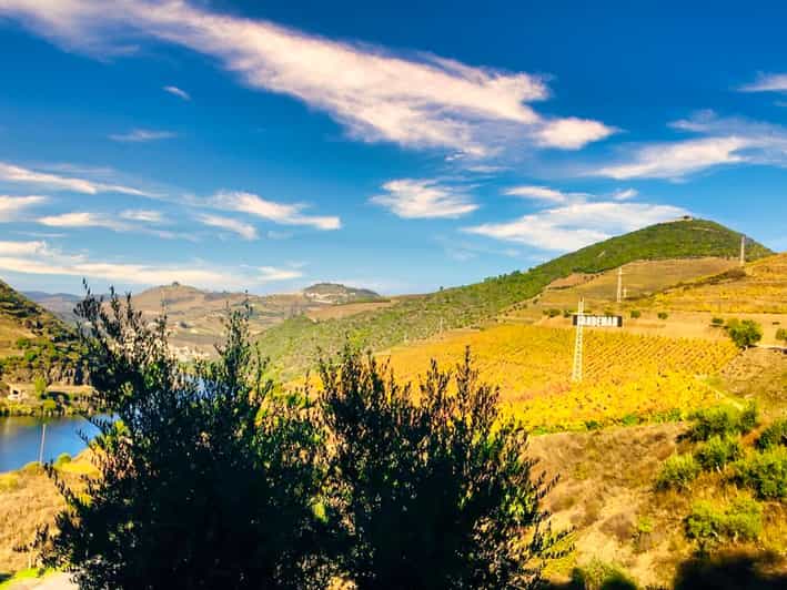Porto: Douro Valley Tour, Two Wineries, Lunch & Boat Cruise