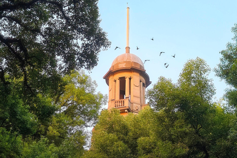 Guangzhou: Shamian Island Walk and Zen Tea Masterclass