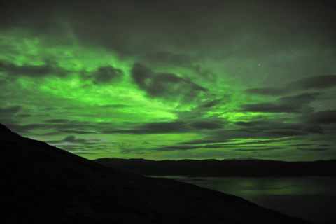 Abisko: Guided Autumn Aurora Chase with Hotel Transfers