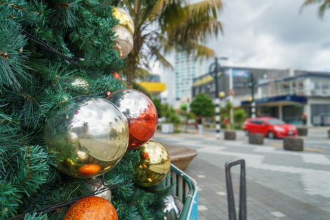 Queenstown vinterpromenad: Förtrollad semestermagi