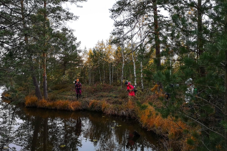 From Tallinn: Guided Bog-Shoe Hiking Tour