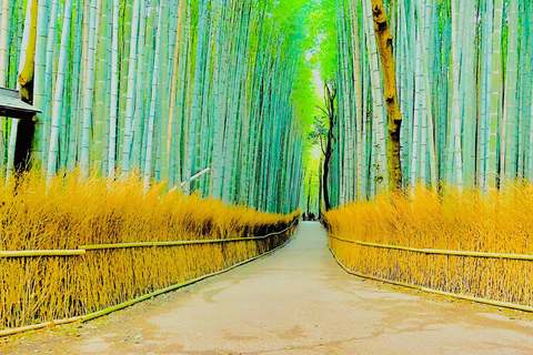 Visite privée de Kyoto avec guide anglophone et véhicule