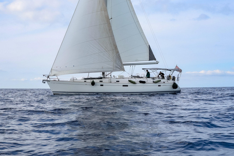 Avventura in barca condivisa a Gozo e Comino