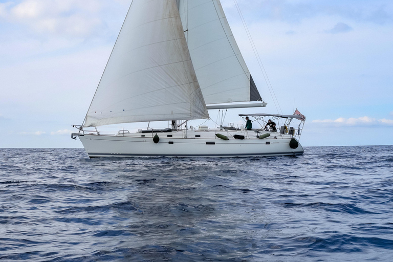 Avventura in barca condivisa a Gozo e Comino