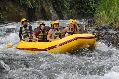 Bali: Telaga Waja River Rafting Small-Group Tour with LunchStandard: Rafting Tour with Lunch &amp; Shared Transfer