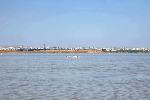 Limassol: Divided Nicosia and Larnaca Tour