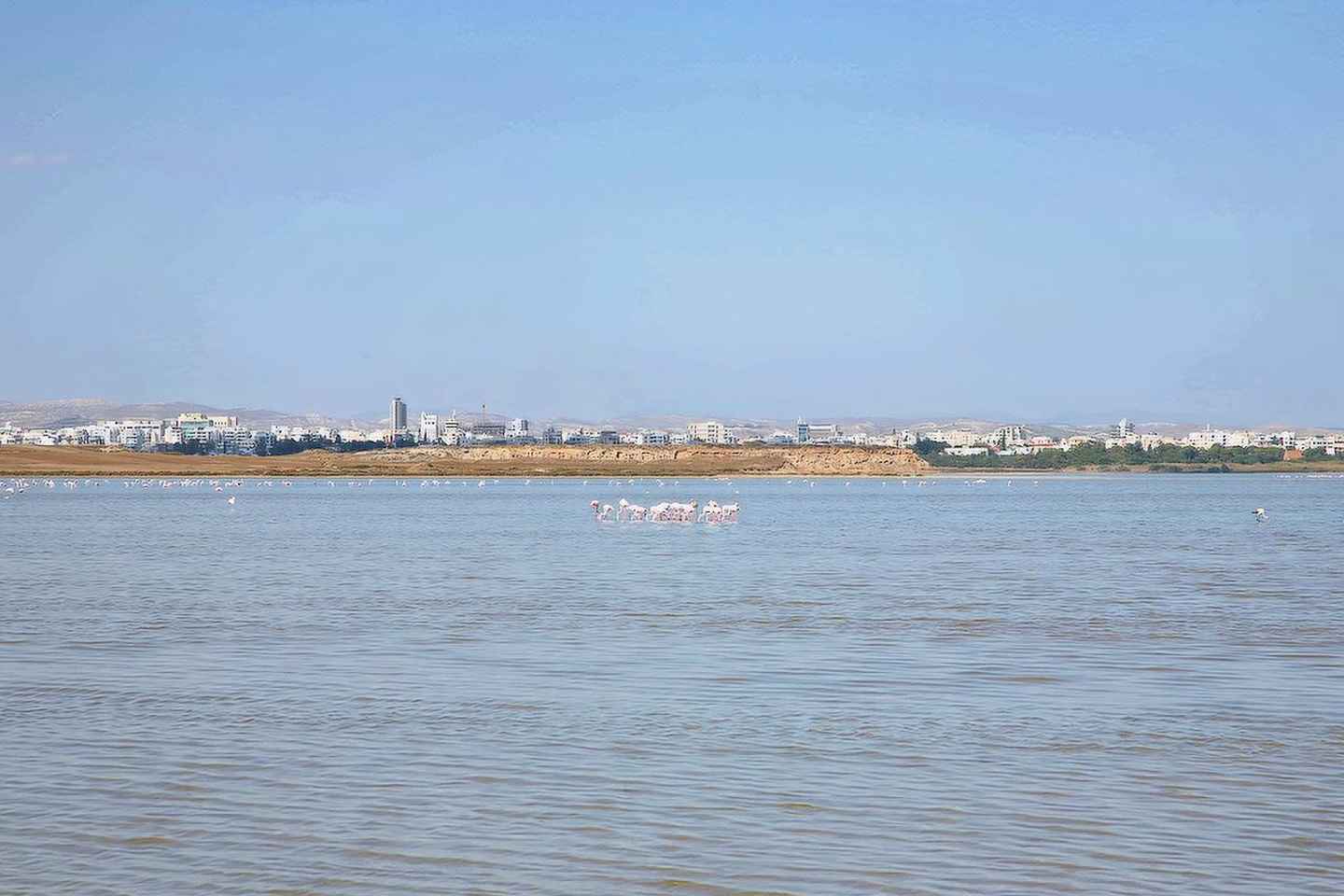 Limassol: Larnaca and Nicosia North Cyprus Private Tour