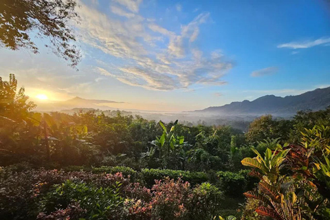 Magical Sunrise & Temple Tour: Barede, Borobudur, Prambanan