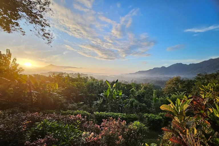 Magical Sunrise & Temple Tour: Barede, Borobudur, Prambanan