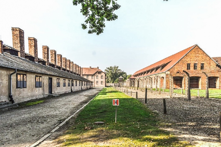 Auschwitz-Birkenau et mine de sel : visite guidée d'une journéeVisite partagée en anglais avec point de rencontre et déjeuner