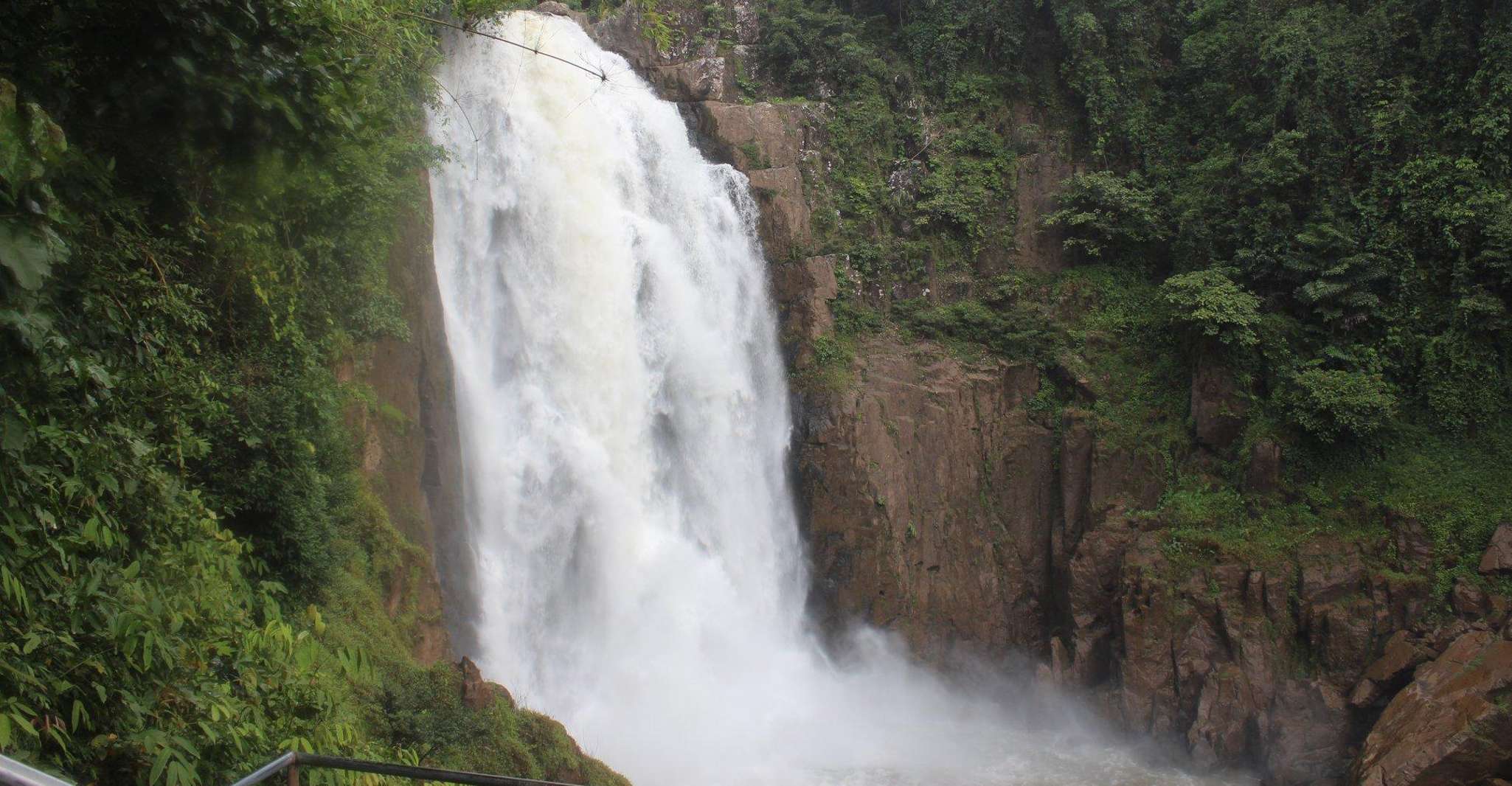 Retour à la randonnée et à la randonnée dans le parc national de Khao Yai - Housity