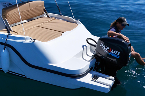 ماربيا: تأجير قوارب بدون ترخيص لمشاهدة الدلافينإيجار لمدة 30 دقيقة