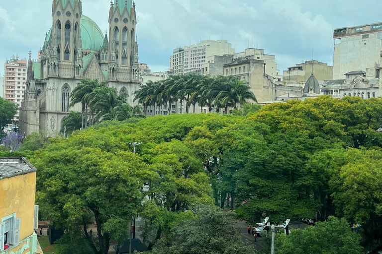 São Paulo's Best Attractions: 5h Private Tour (Hotel Pickup) São Paulo Best Attractions: 8h Private Tour