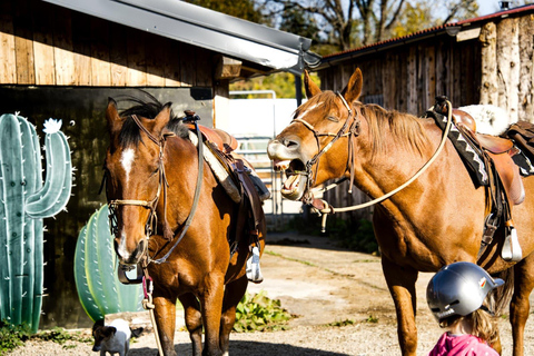 Plitvice: Horseback Riding Tour with Cave Entry Ticket Ride to Barać Caves (Half‑day Horseback Tour)
