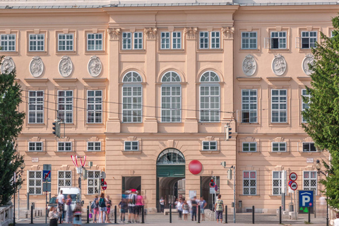Skip-the-line Leopold Museum Wenen, Gustav Klimt Tour4 uur: Leopold Museum &amp; Kunsthistorisches (Geen transfer)