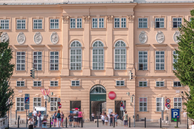 Skip-the-line Leopold Museum Wenen, Gustav Klimt Tour4 uur: Leopold Museum &amp; Kunsthistorisches (Geen transfer)