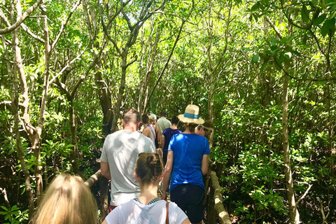 Zanzibar: Jozani Forest and Spice Farm Tour