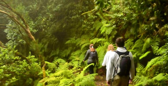 Tenerife: Guided Hike in Anaga Rural Park